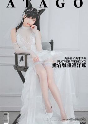 我的好姐姐们